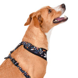Bel Air Mesh Dog Harness on Dog  