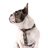 Frenchbulldog wearing Clueless All Purpose Dog Harness 
