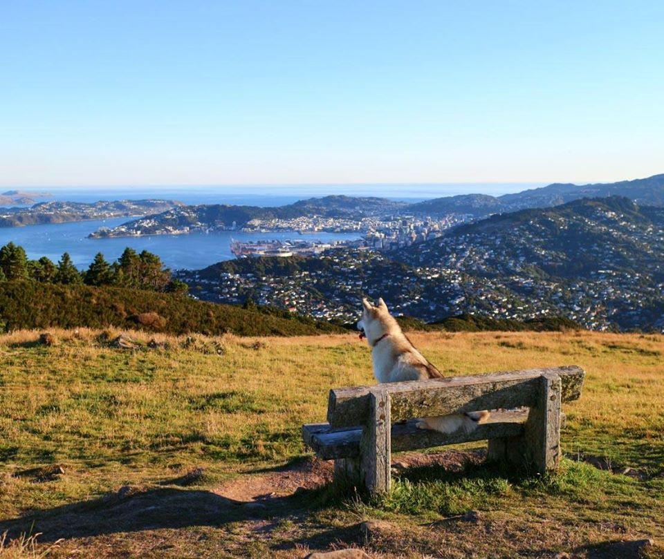 Mount Kaukau