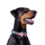 Dog in Floss Dog Bow Tie