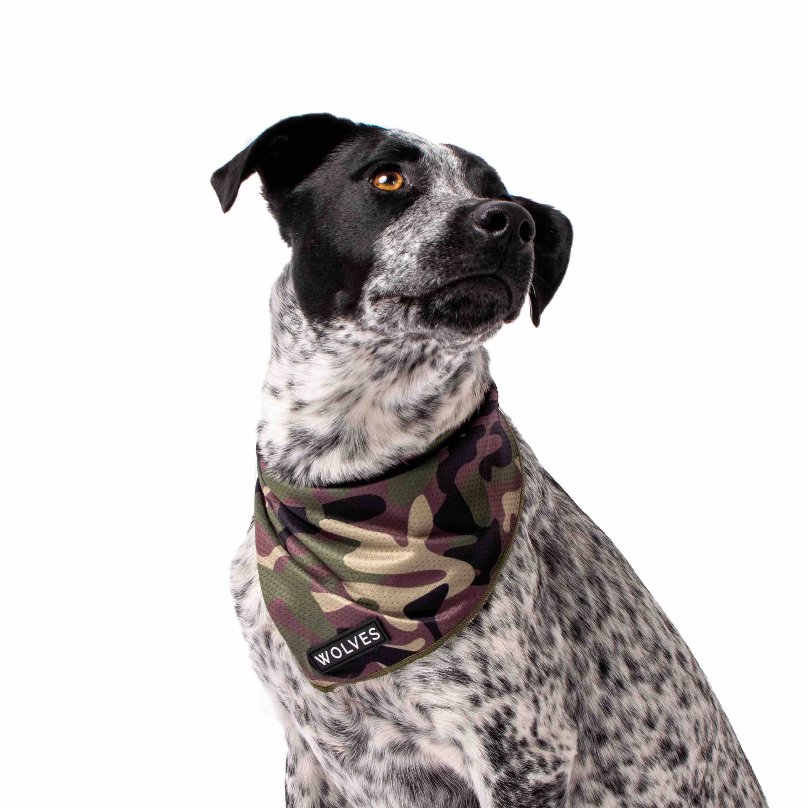 Camouflage shop dog bandana