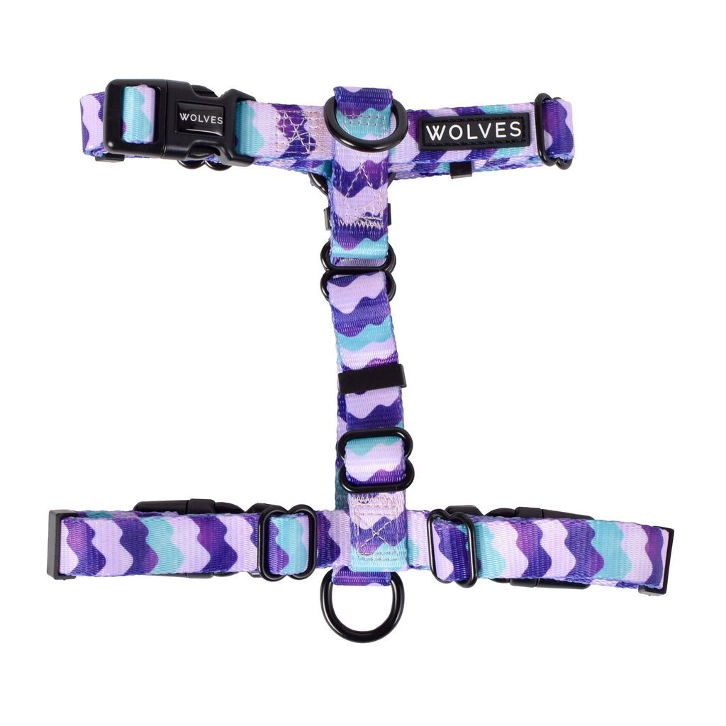 Sulley All Purpose Harness 2.0 Harness Wolves of Wellington Small 
