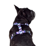 Sulley All Purpose Harness 2.0 Harness Wolves of Wellington 