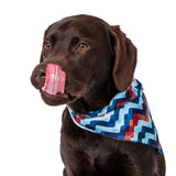 Labrador wearing Maverick Mesh Dog Bandana 