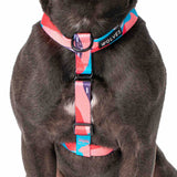 Floss All Purpose Dog Harness close up