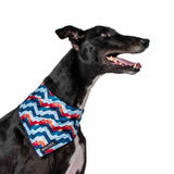 Greyhound wearing Maverick Mesh Dog Bandana 