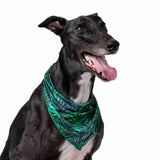 Greyhound wearing Florida Mesh Dog Bandana 