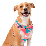 Dog in Floss Mesh Dog Harness