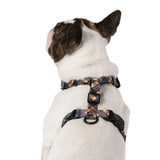 Back of Clueless All Purpose Dog Harness 