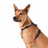 Luey All Purpose Dog Harness