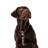 Labrador wearing Clueless All Purpose Dog Harness  